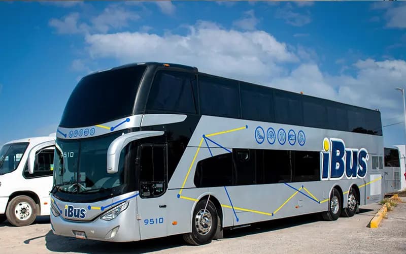 Panorámico Buscar DD