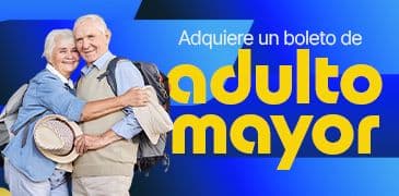 Manual de boleto tipo Adulto Mayor