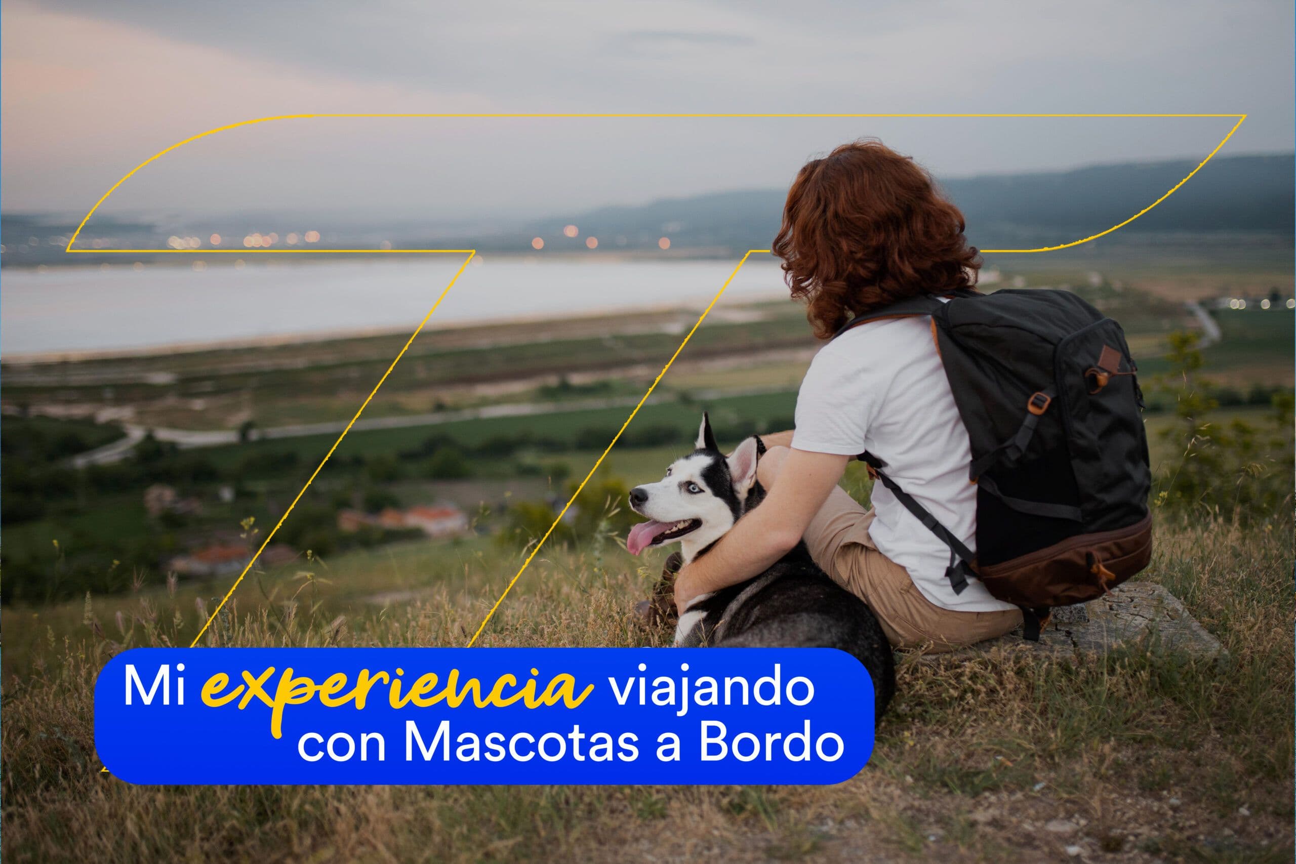 Mi experiencia viajando con Mascotas a Bordo Mi experiencia viajando con Mascotas a Bordo